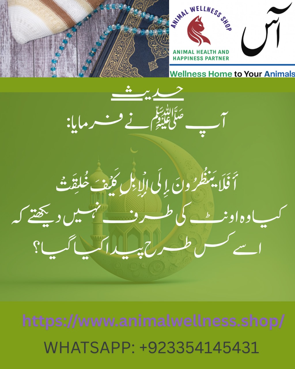 Reflection on the Creation of the Camel – A Call to Contemplate Allah’s Wonders