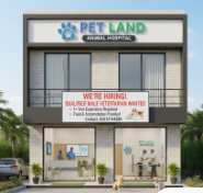 Male Veterinarian - Experienced Pet Care Professional