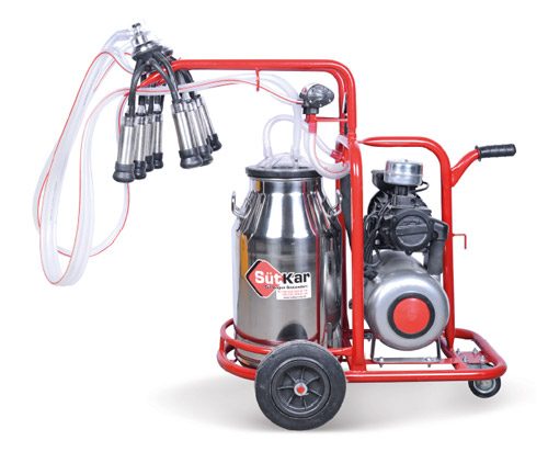 Double Cluster Single Bucket milking machine