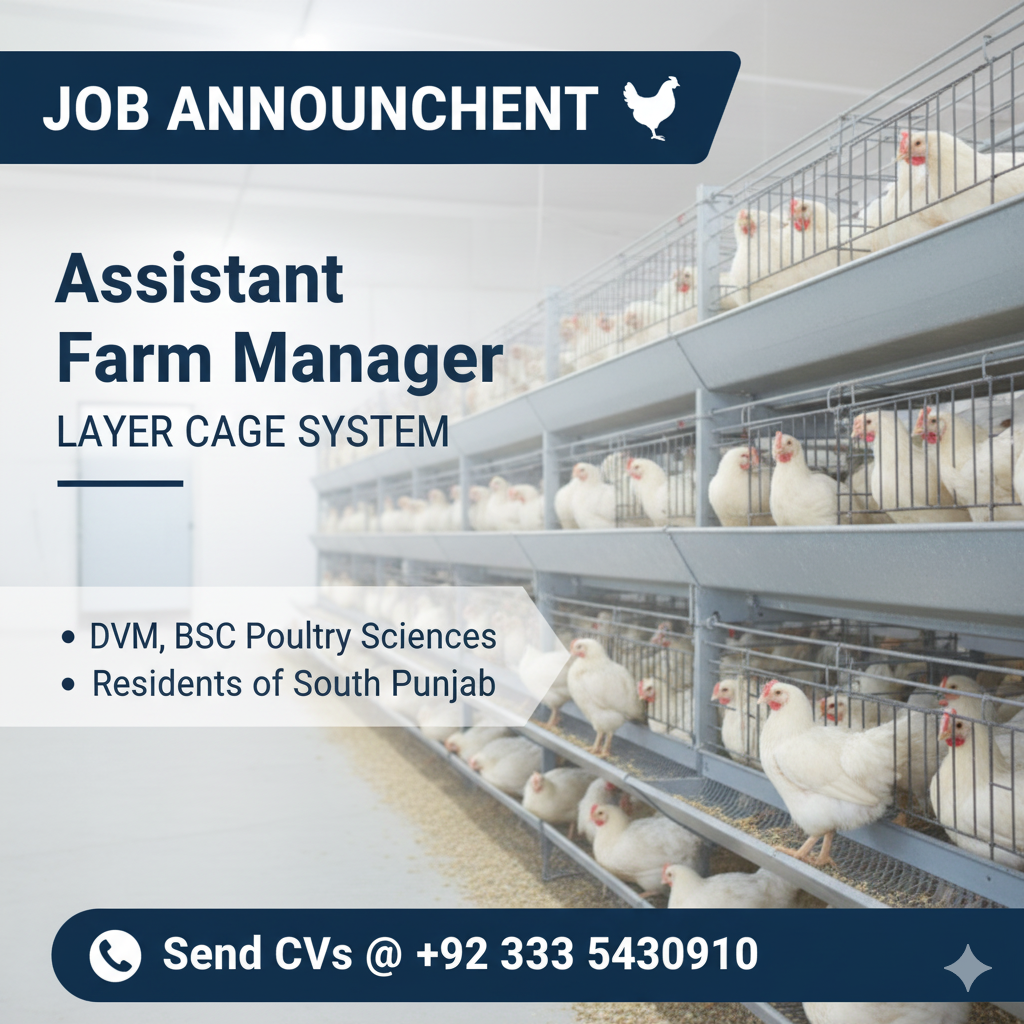 Assistant Farm Manager – Layer Cage System