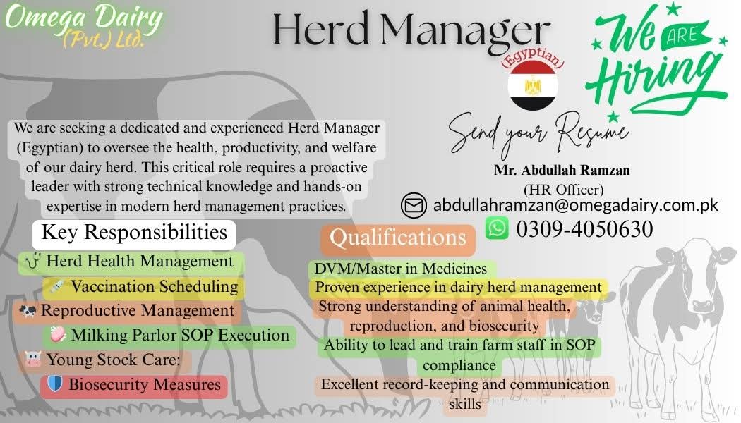 Herd Manager (Egyptian National)