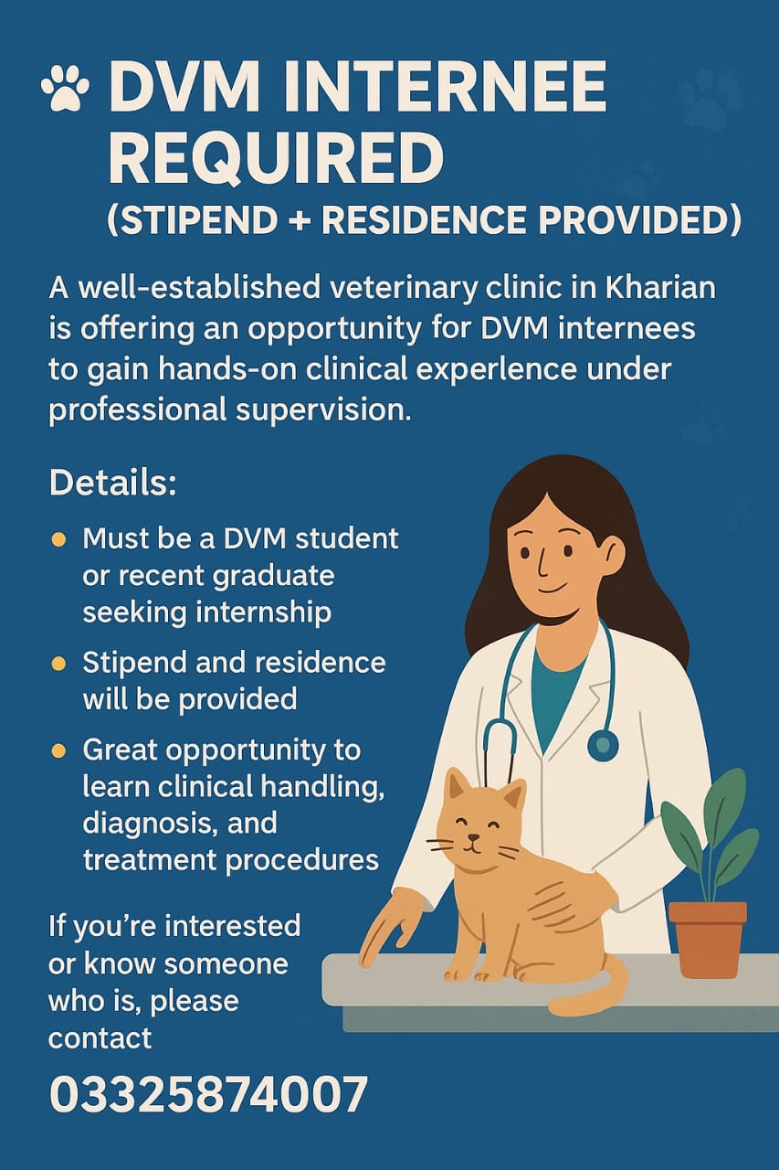 DVM Internee – Veterinary Clinic (Kharian)