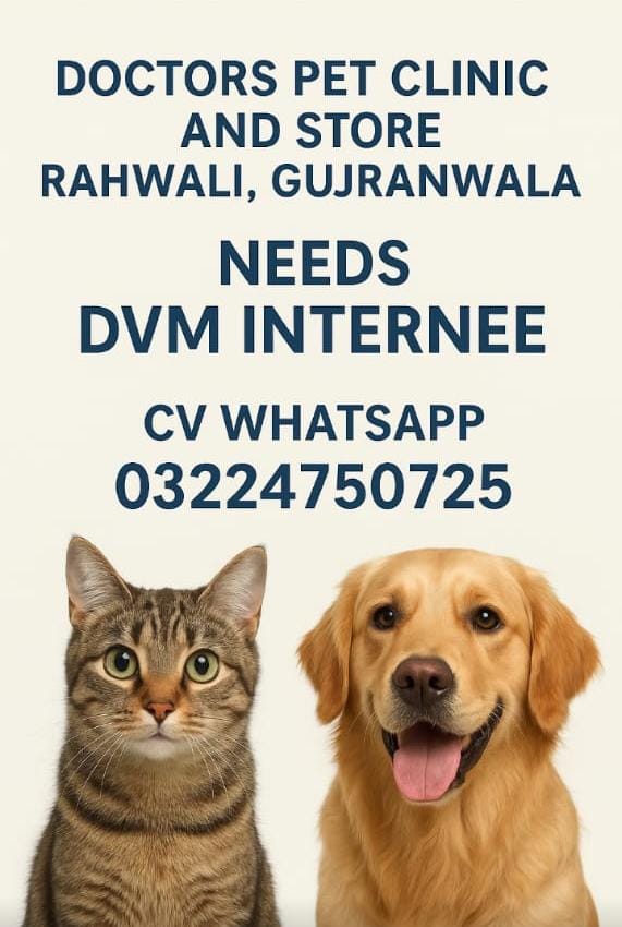 DVM Internee – Doctors Pet Clinic and Store (Rahwali, Gujranwala)