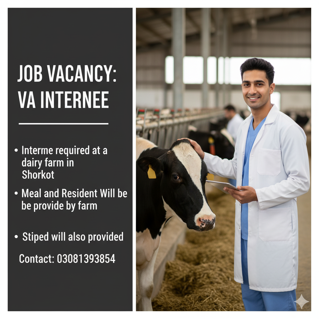Veterinary Assistant (VA) – Intern