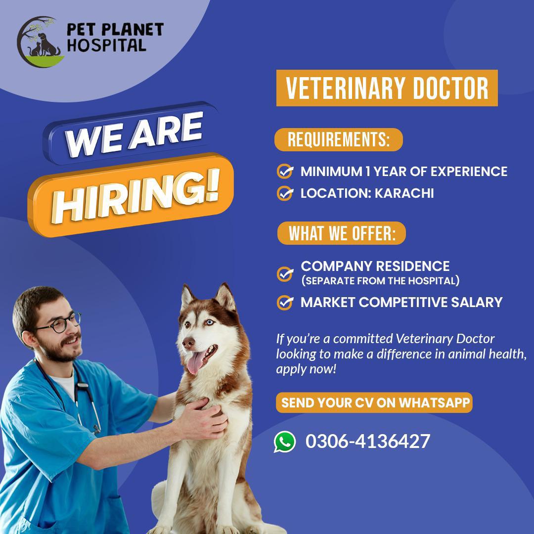 🐾 Veterinary Doctor