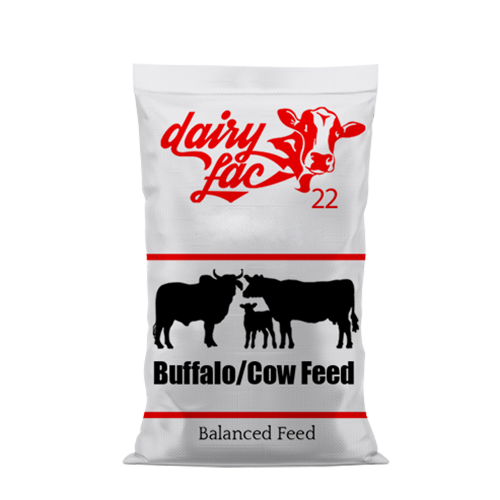 DairyLac 22