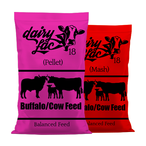 DairyLac 18 Mash