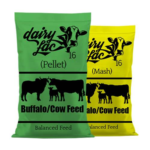 DairyLac 16	