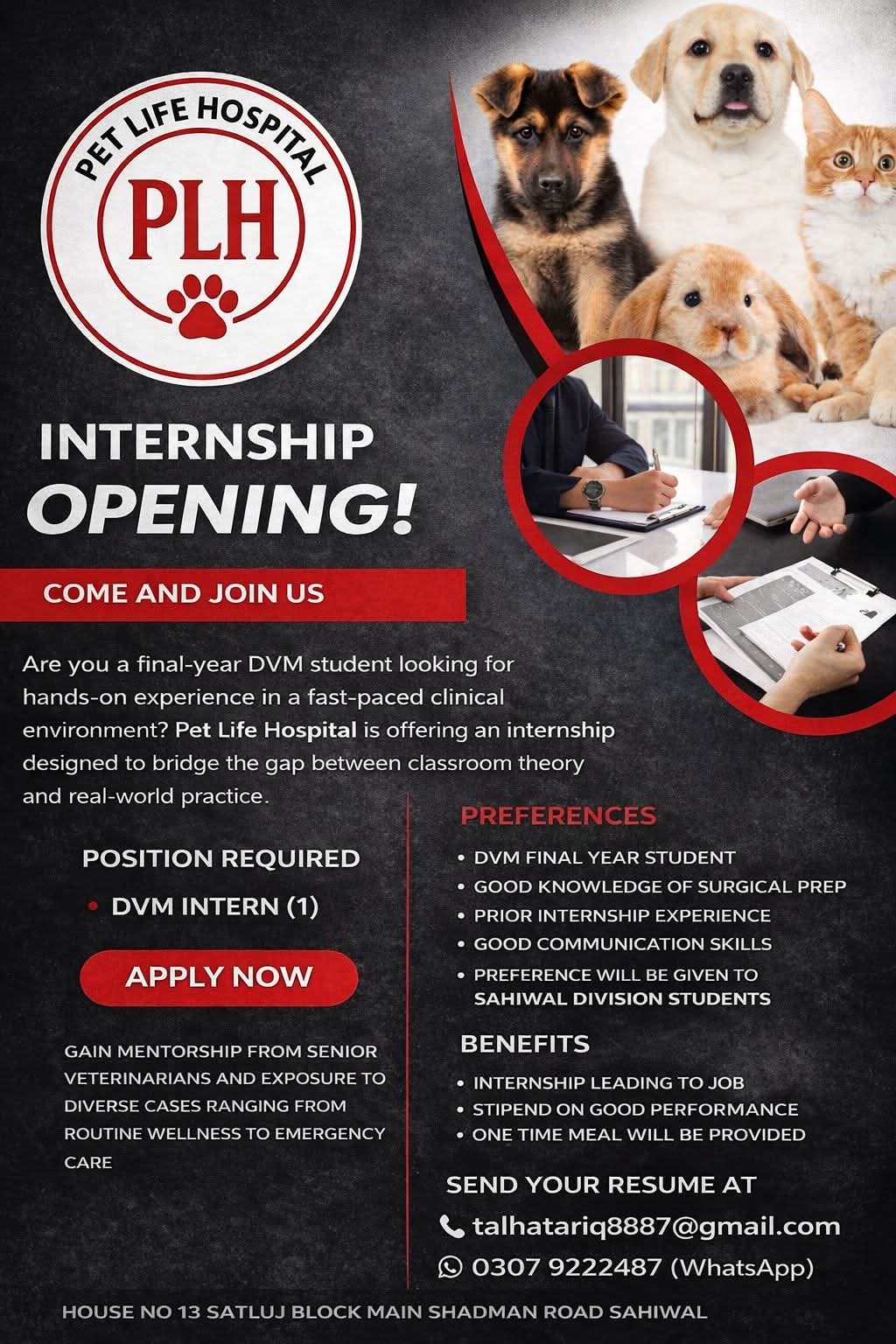 PET LIFE HOSPITAL PLH  INTERNSHIP OPENING!
