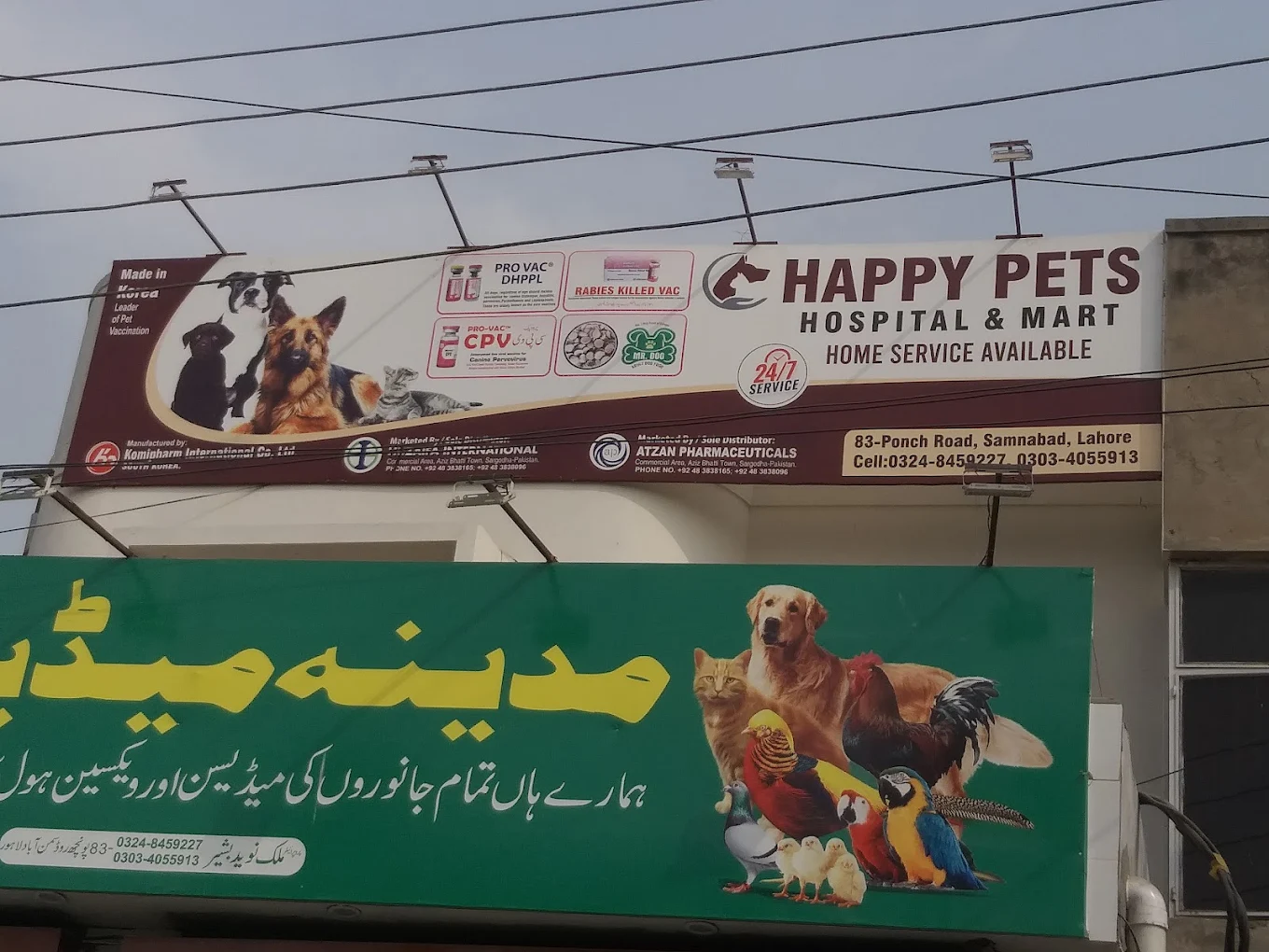 Madina Medicose Lahore
