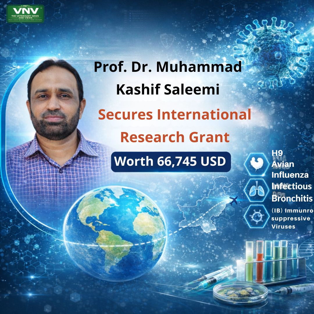 Prof. Saleemi Wins $66,745 International Research Grant