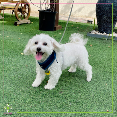 Advanced Pet Care Clinic