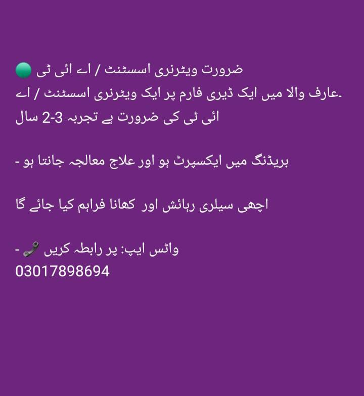 ضرورت ویئرنری اسٹنٹ / اے آئی ٹی 