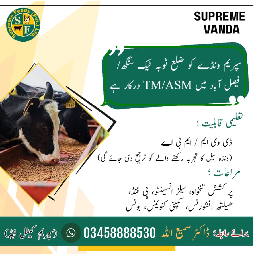 Supreme Vanda - TM/ASM