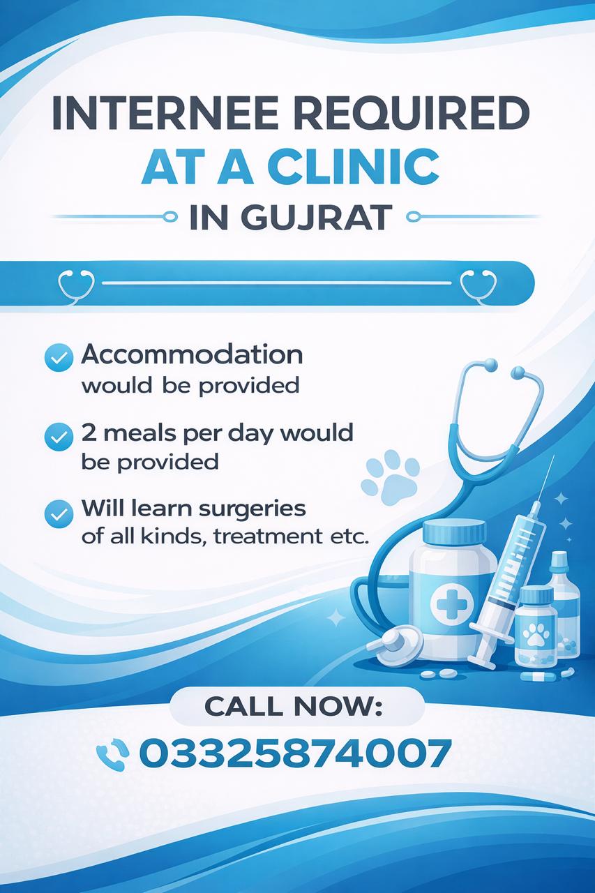 Veterinary Clinic Gujarat - Internee Doctor