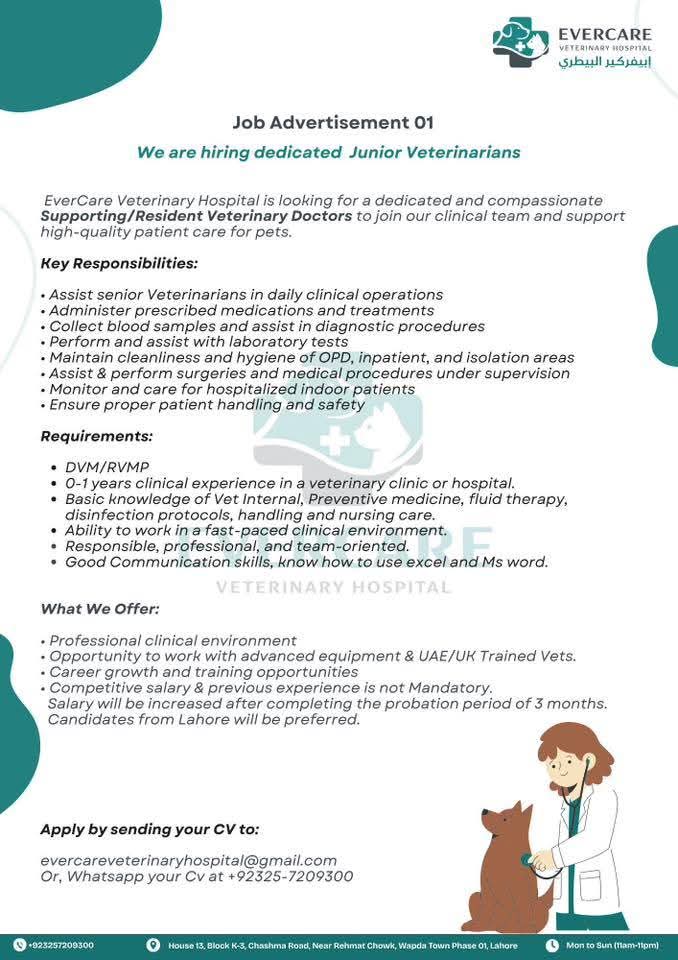 EverCare Veterinary Hospital - Junior Veterinarian