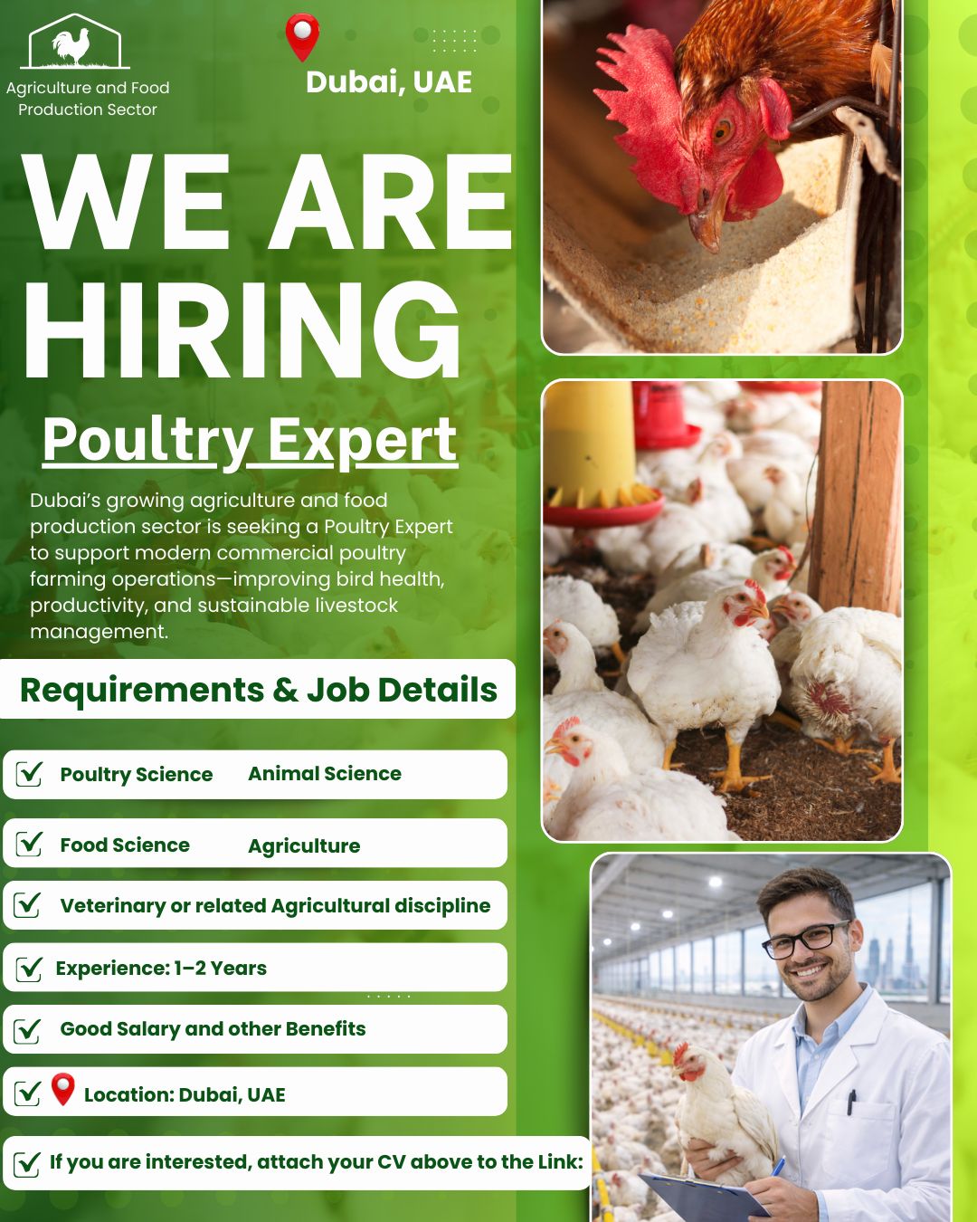 🐔 Hiring: Poultry Expert | Dubai, UAE | 2026