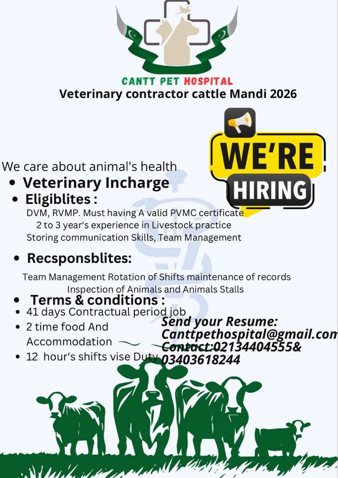 Cantt Pet Hospital (Cattle Mandi 2026 - Contractual) Position: Veterinary Incharge