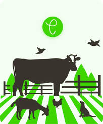 Farm Ghar Pakistan customer care