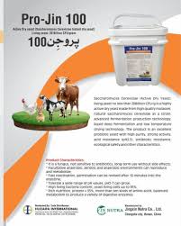 Pro-jin 100 500gm