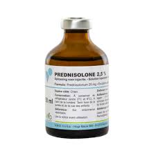 Prednisolone 2.5 % Inj 50ml