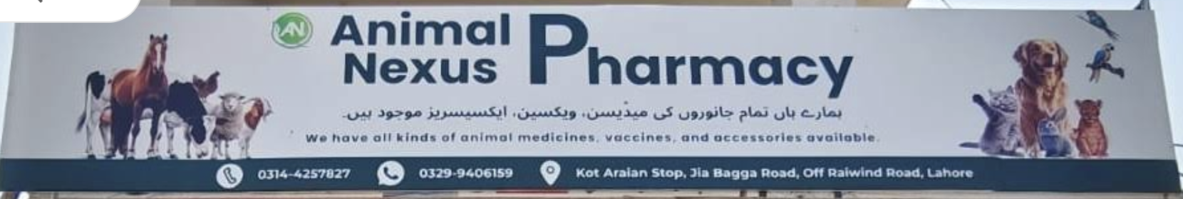 Dr Muhammad Haad