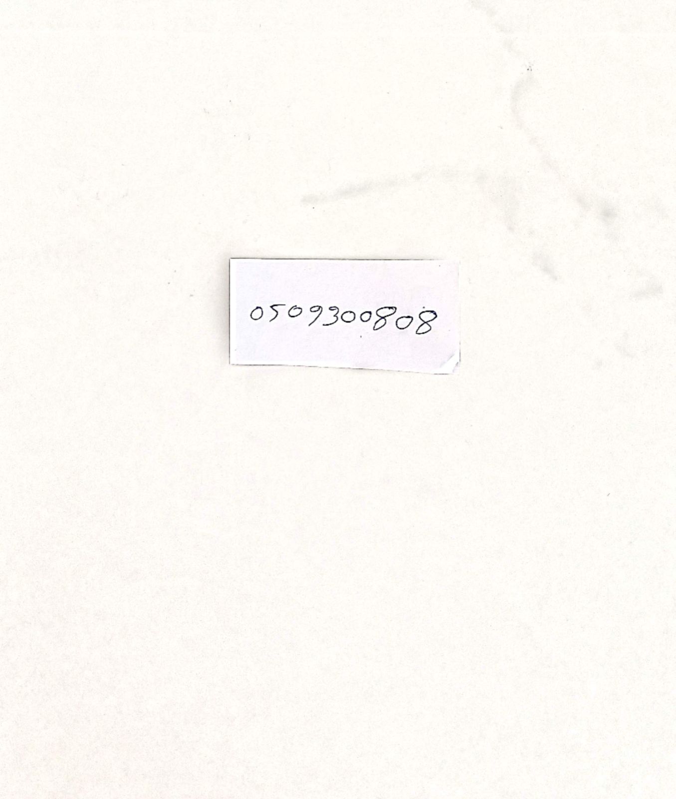 Pet shop UAE Dubai +971509300808