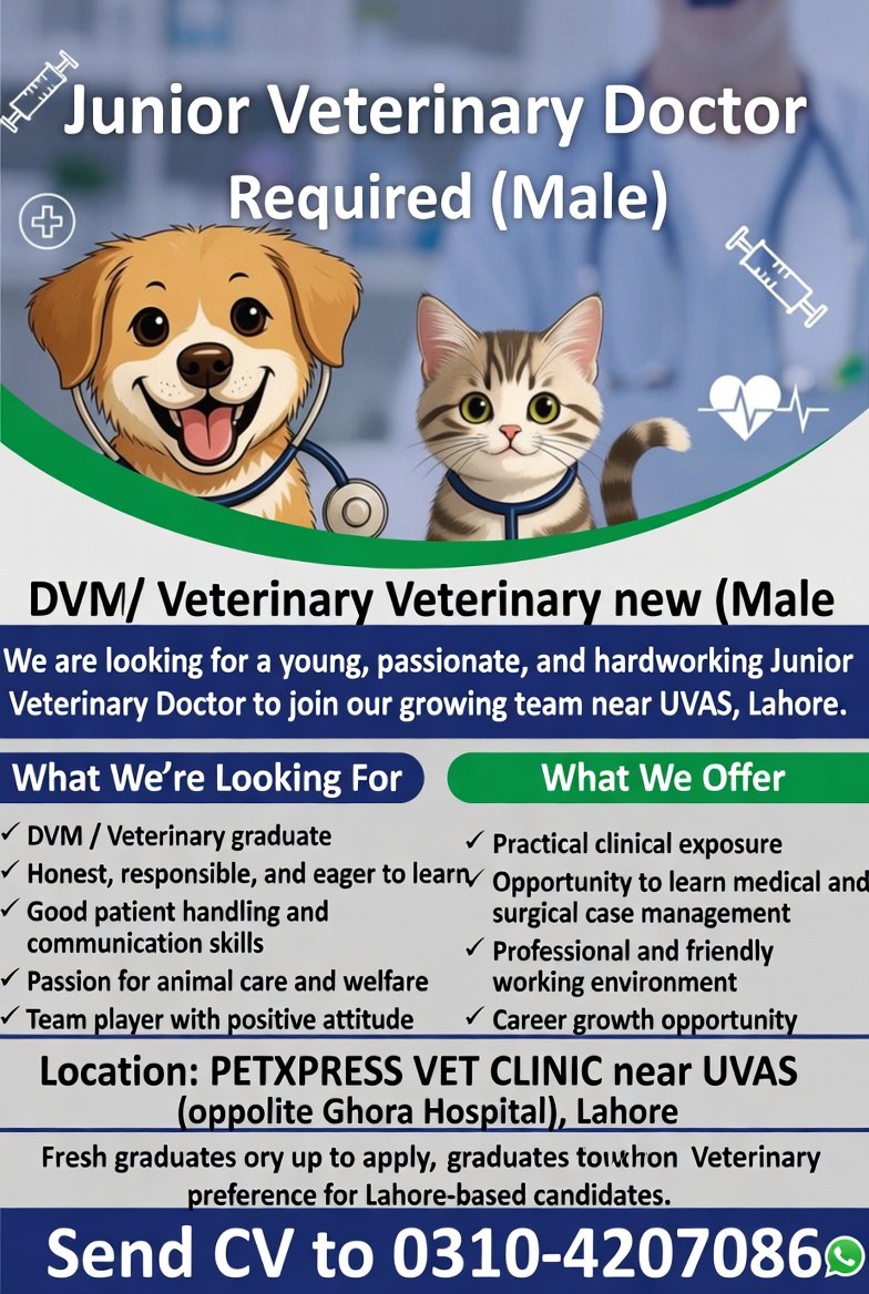Junior Veterinary Doctor Required . [Male]