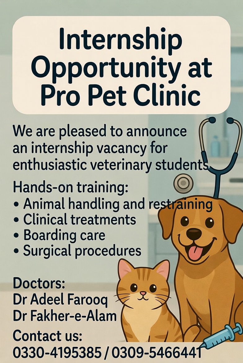 *Internship Opportunity at Pro Pet Clinic* 