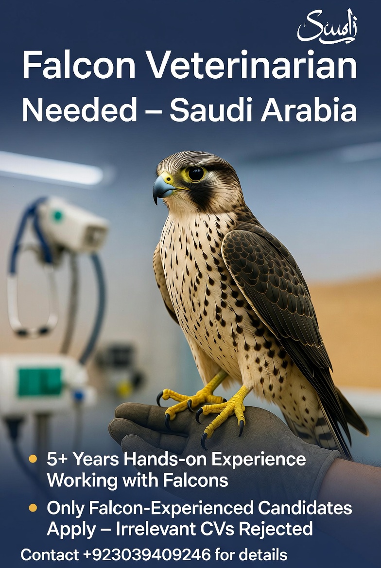 A veterinarian having 5 years of experience regarding working in Falcons is required in Saudi Arabia.