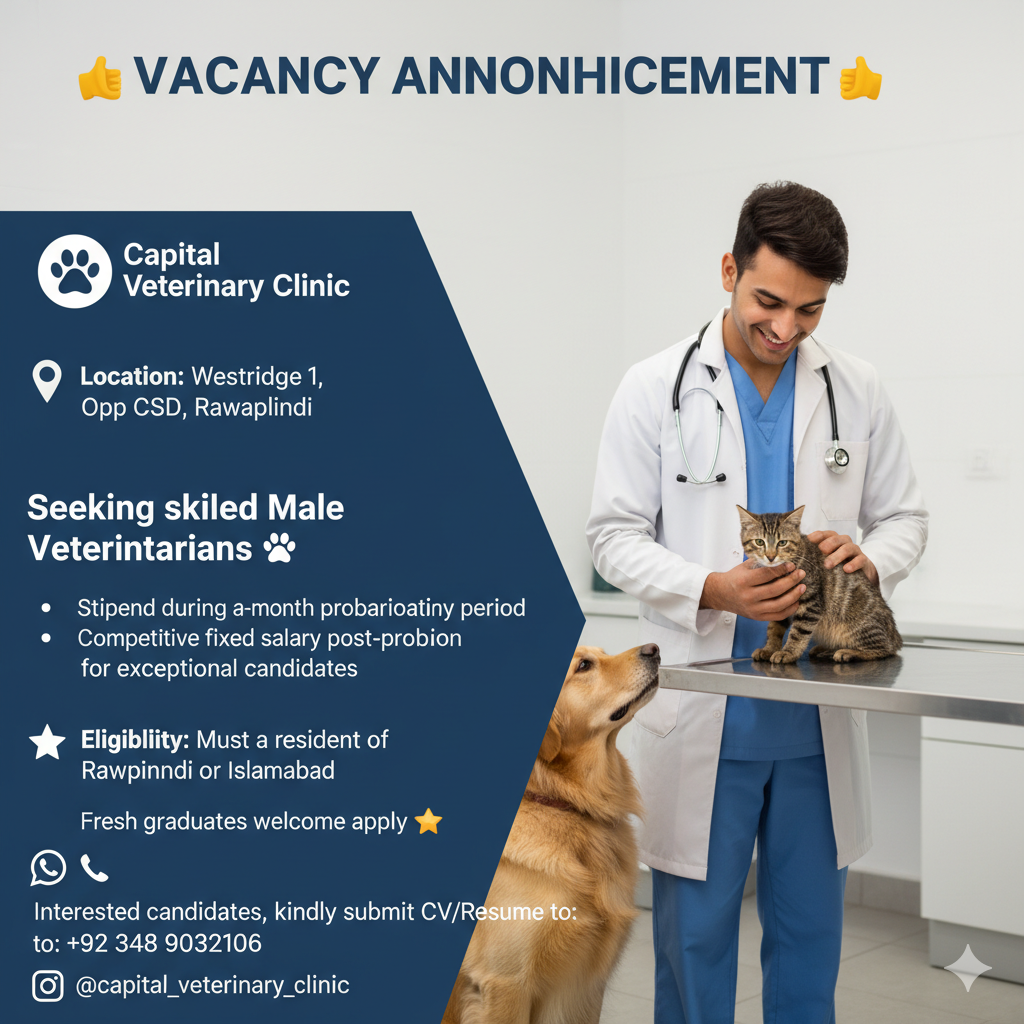 📢 _VACANCY ANNOUNCEMENT_ 📢