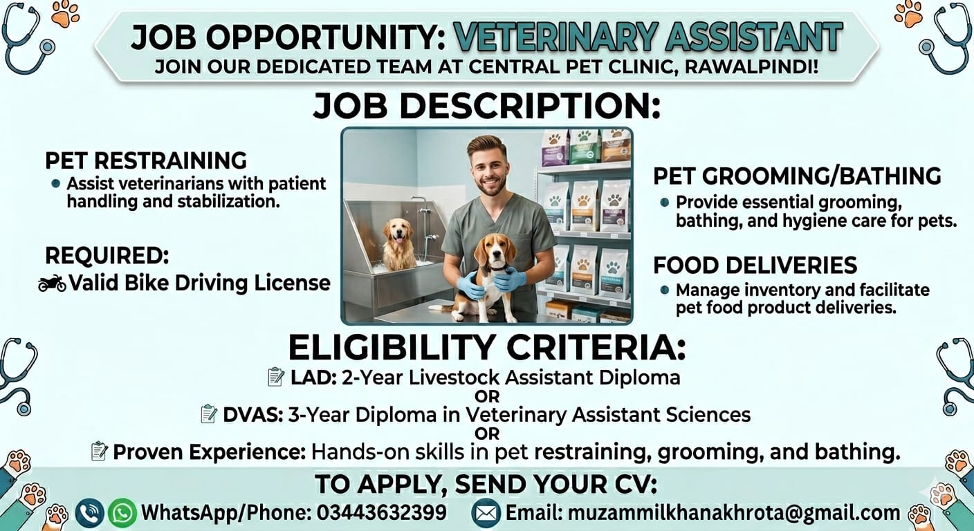 Job Opportunity: Veterinary Assistant