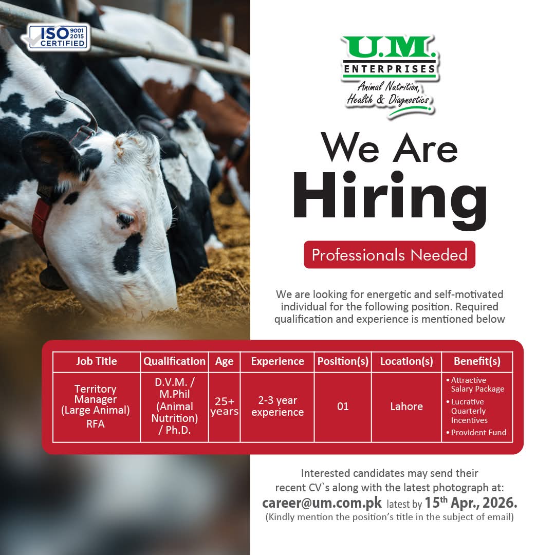 We Are Hiring Professionals Needed