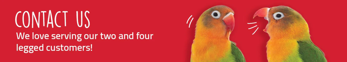 The pet shop customer care