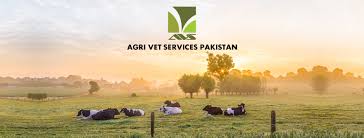 MULTITUDE