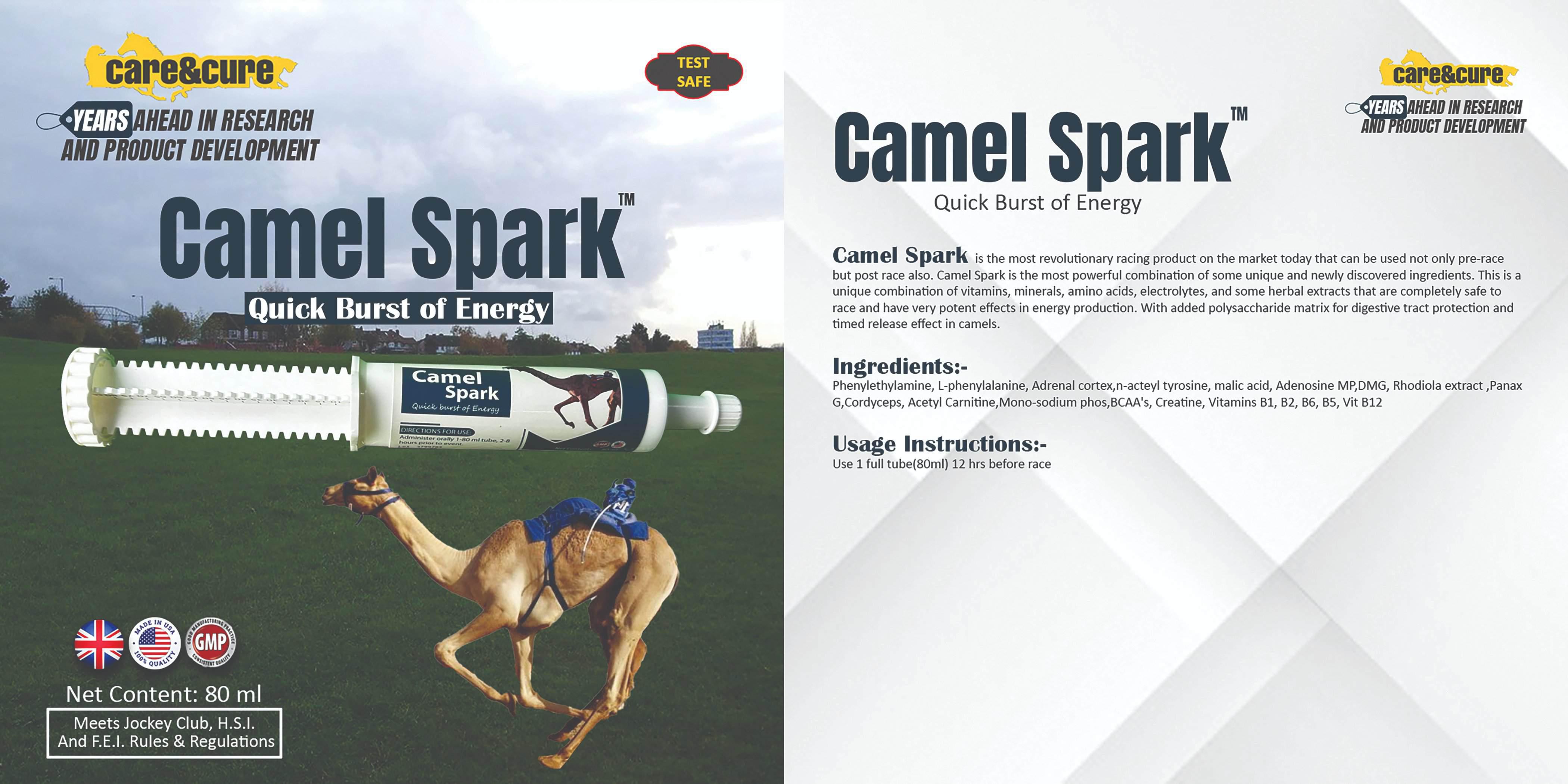 Camel Spark