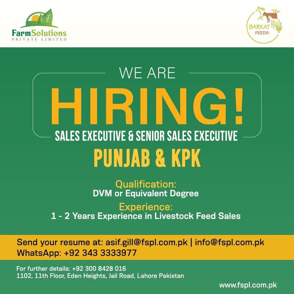 Sales Executive - Barkat Feeds