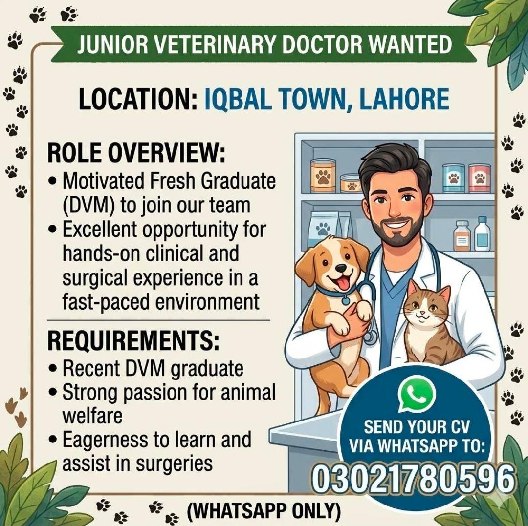 Junior Veterinary Doctor - Pet Clinic