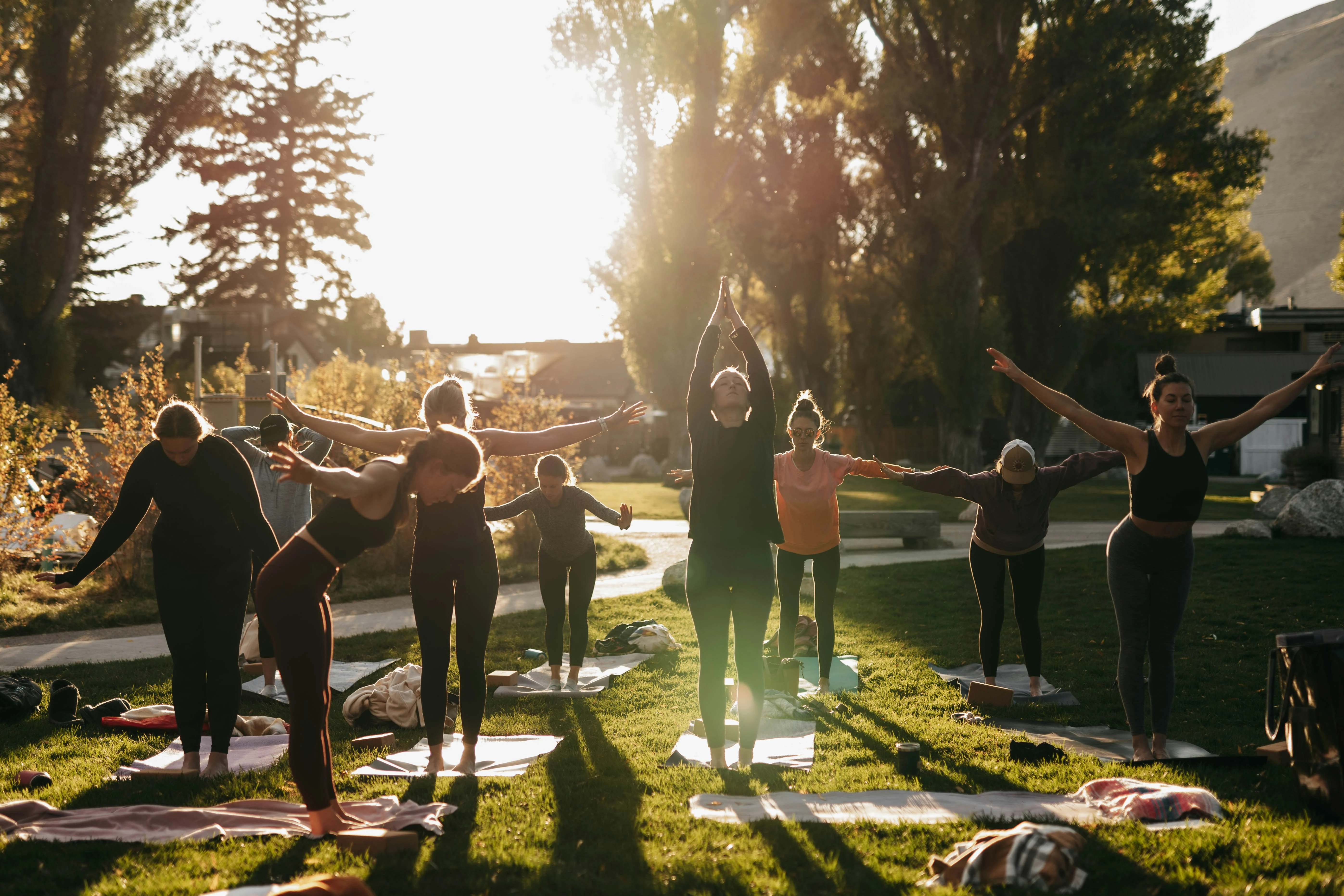 Wellness Culture