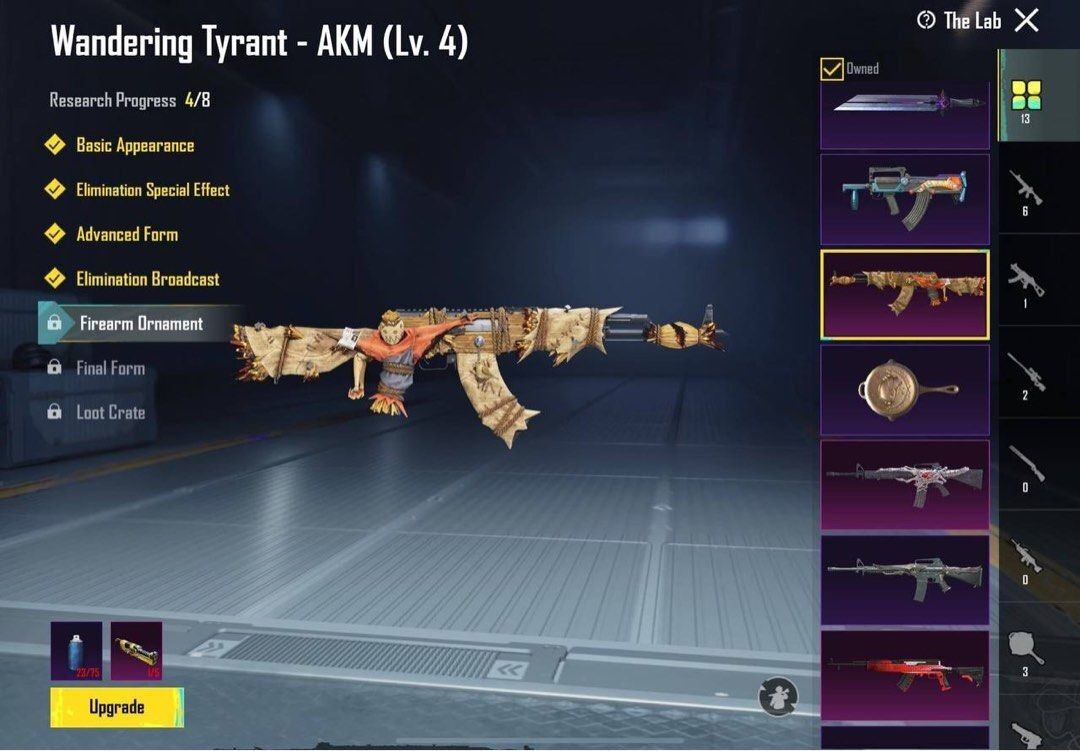 ⭕Glacier-M416(Lv. 5) & ⭕AKM-WANDERING-TYRANT-(LVL-4). Watch video⚡⚡ID level-68