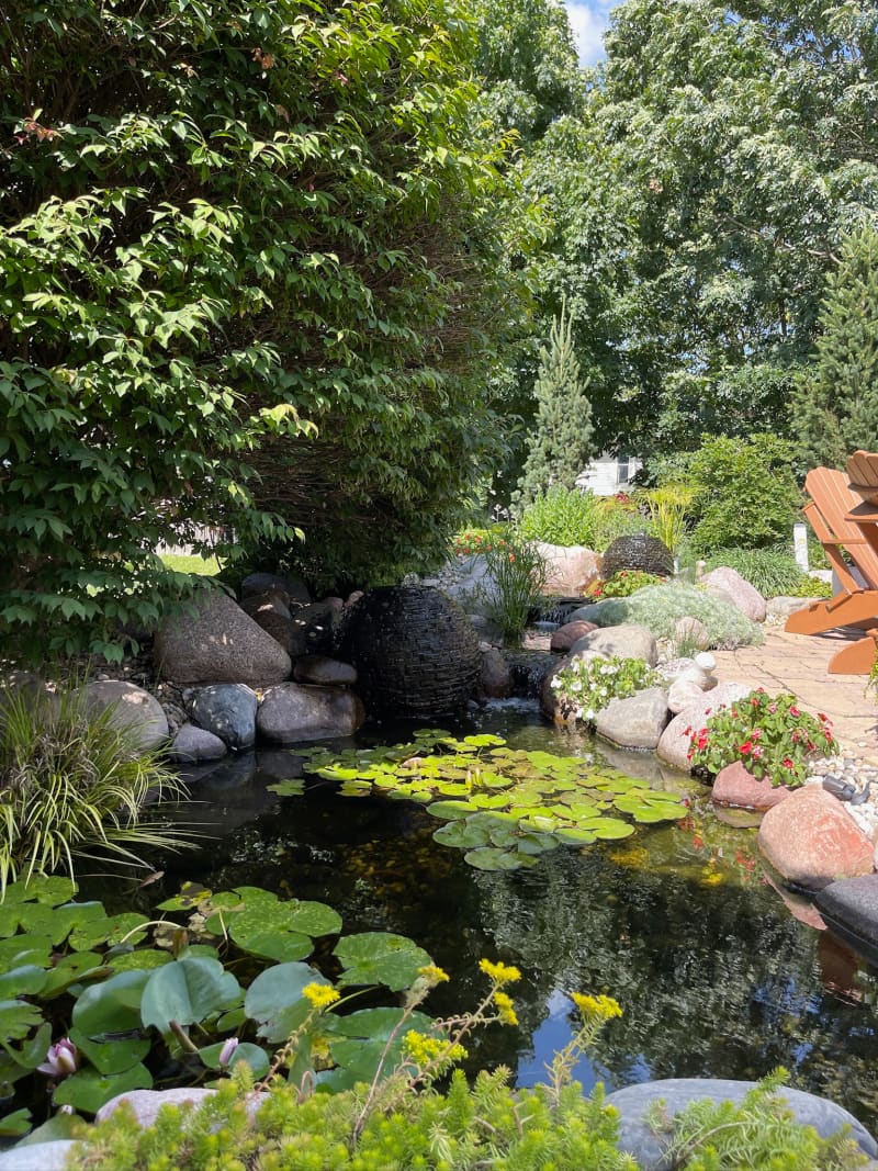 Ecosystem Ponds and Waterfalls - asset 2