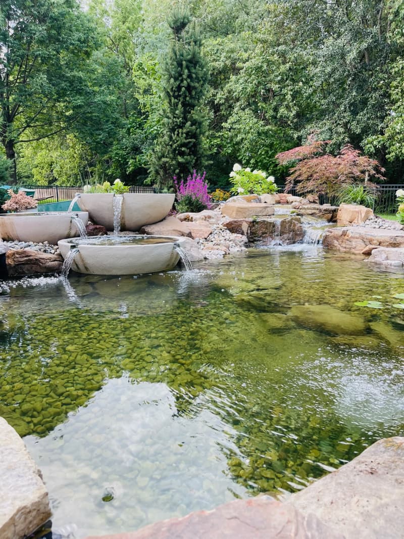 Ecosystem Ponds and Waterfalls - asset 5