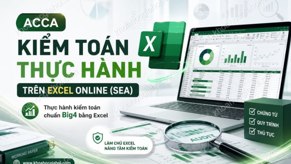 Khóa Học Acca Kiểm Toán Thực Hành Trên Excel Online (SEA)