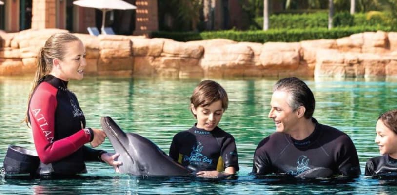 Dolphin Bay Atlantis Tickets