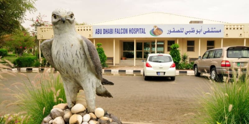 Falcon Hospital Abu Dhabi Tours