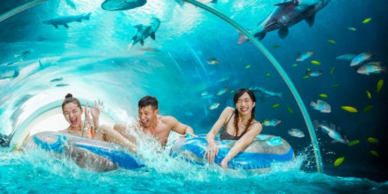 Adventure Cove Waterpark Tickets