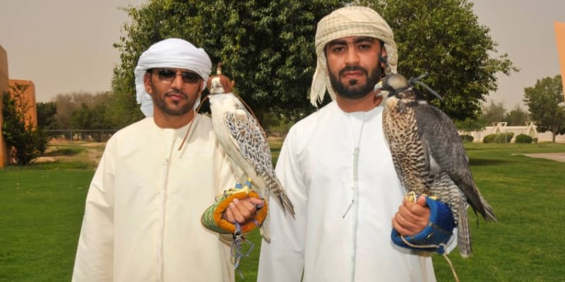 AL Ain Zoo Tickets