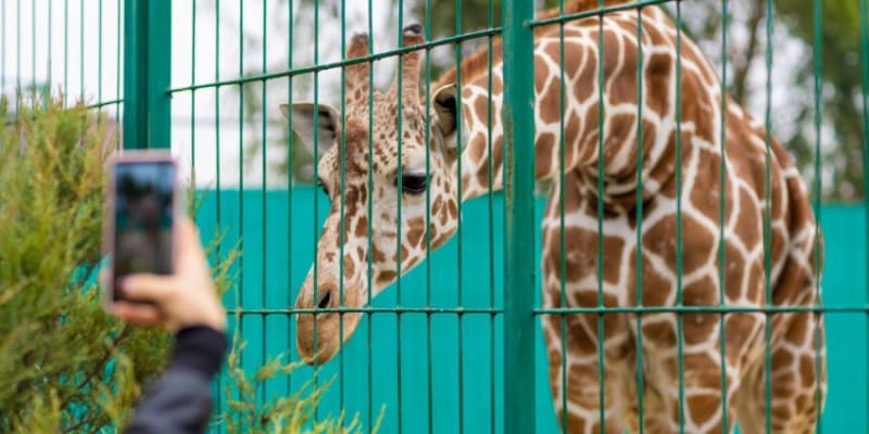 AL Ain Zoo Tickets