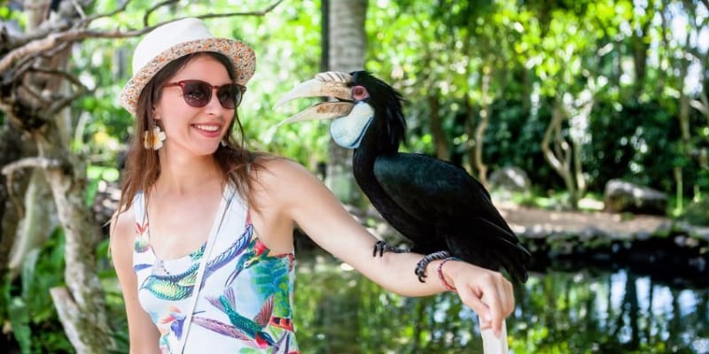 Bali Bird Park Tickets