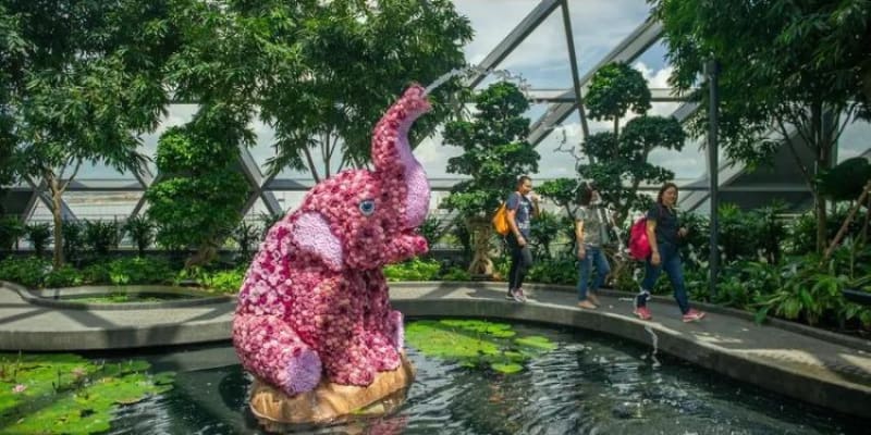 Jewel Changi Airport Attractions Tickets